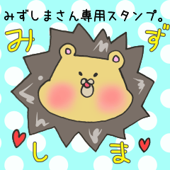 [LINEスタンプ] みずしまさん専用スタンプの画像（メイン）