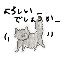 [LINEスタンプ] みさきの猫