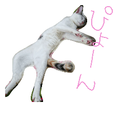 [LINEスタンプ] ミケネコとワンコ