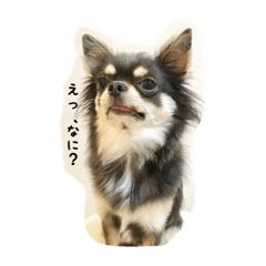 [LINEスタンプ] そらじろ