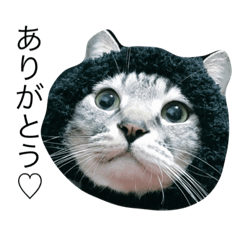[LINEスタンプ] 色々さんしろくん