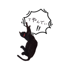 [LINEスタンプ] 谷口さんちの福ちゃん！