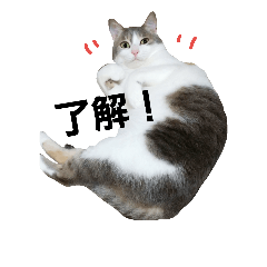 [LINEスタンプ] つぶみるつきスタンプ2