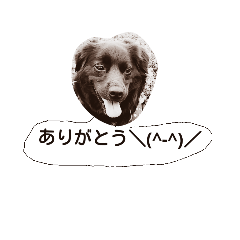 [LINEスタンプ] 私の挨拶
