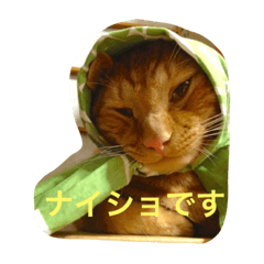 [LINEスタンプ] うちのねこず③