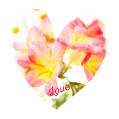 [LINEスタンプ] Text in flowers