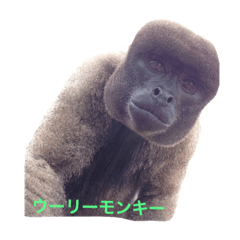 [LINEスタンプ] 可愛い動物たち。