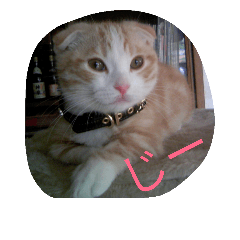 [LINEスタンプ] ジュン様