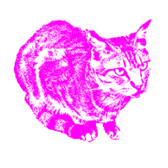 [LINEスタンプ] Pop Art Cat emoticons_2の画像（メイン）