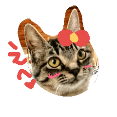 [LINEスタンプ] ちっこいテトさん。