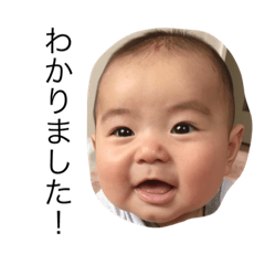 [LINEスタンプ] しゅうとっと fetchpriority=high