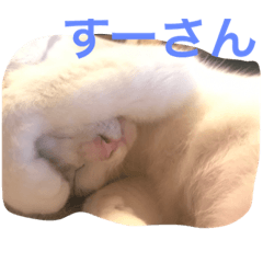 [LINEスタンプ] すーさんすーさん
