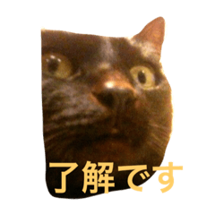 [LINEスタンプ] じじとばば1
