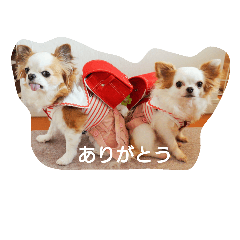 [LINEスタンプ] もなベキ姉妹。