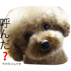 [LINEスタンプ] 海＆モカ2