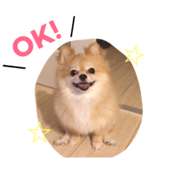 [LINEスタンプ] おぽん