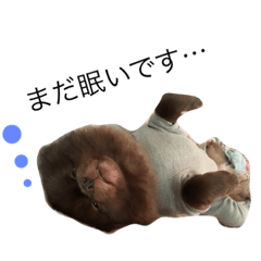 [LINEスタンプ] ポメラニアンかもしれない
