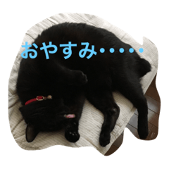 [LINEスタンプ] 黒猫のあめしゃん