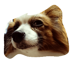 [LINEスタンプ] チャンベリ
