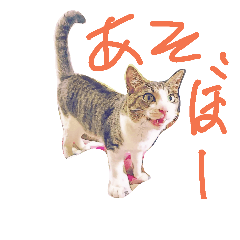 [LINEスタンプ] ぽんきちの楽しい1日