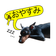 [LINEスタンプ] トイマンチェスターテリアと黄色い吹き出し