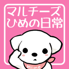 [LINEスタンプ] マルチーズ姫の日常