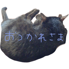 [LINEスタンプ] うちのNANA