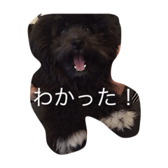 [LINEスタンプ] ピッピスタンプ