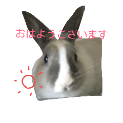 [LINEスタンプ] 可愛いアイドル