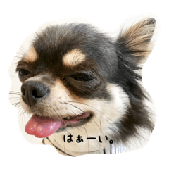 [LINEスタンプ] そらじろ2