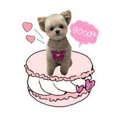 [LINEスタンプ] チワプーのAlu②