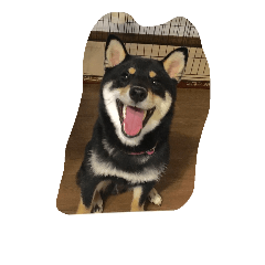 [LINEスタンプ] くまの助
