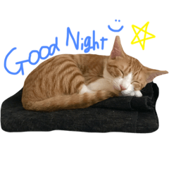 [LINEスタンプ] そぼろ