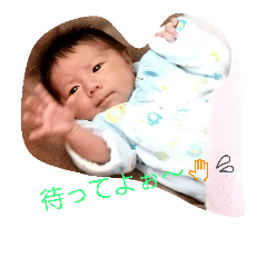 [LINEスタンプ] せいじゅくんの気持ち