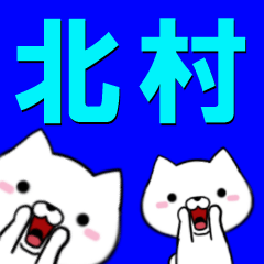 [LINEスタンプ] 超★北村(きたむら・キタムラ)なイヌの画像（メイン）