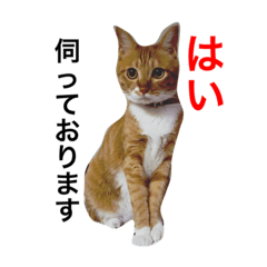[LINEスタンプ] 五十六スタンプ2