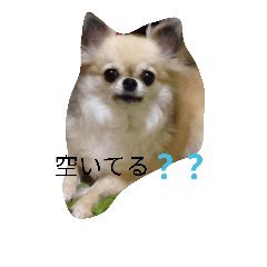 [LINEスタンプ] サウザー犬