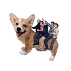[LINEスタンプ] 桜丸