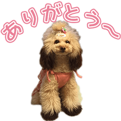 [LINEスタンプ] ぷうみ