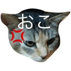 [LINEスタンプ] まるはた。