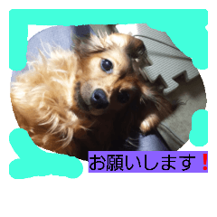 [LINEスタンプ] ラム＆ティンク