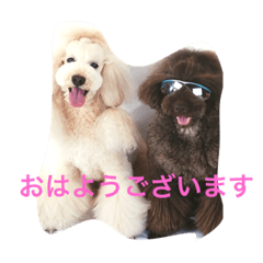[LINEスタンプ] しあわせで〜すたんぷぅ