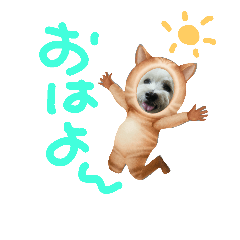 [LINEスタンプ] ウェスティもっちがもちニャンに！