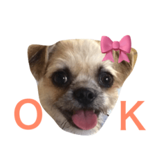 [LINEスタンプ] 田畑家のはるちゃん
