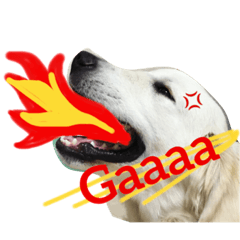 [LINEスタンプ] ごーるでんむっぎー
