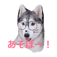 [LINEスタンプ] わたしはキャンディ！