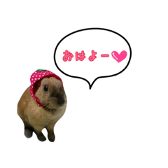 [LINEスタンプ] フルーツキナコ