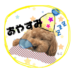 [LINEスタンプ] もこの日常会話
