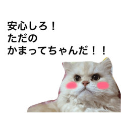 [LINEスタンプ] ポテ猫なのだ