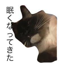 [LINEスタンプ] らむさま